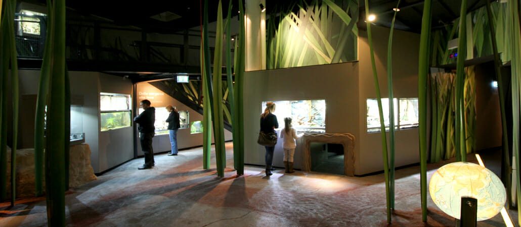 Ausstellungsbau im Klimahaus
