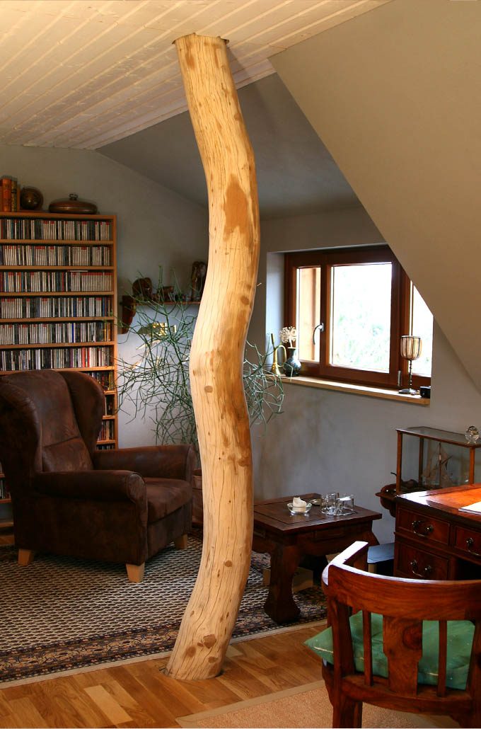 Tragende Robinie im Wohnraum